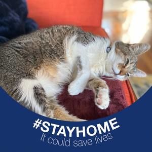 Meet your Posher, Candi